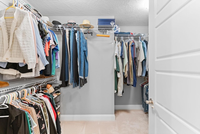 spacious closet featuring carpet floors