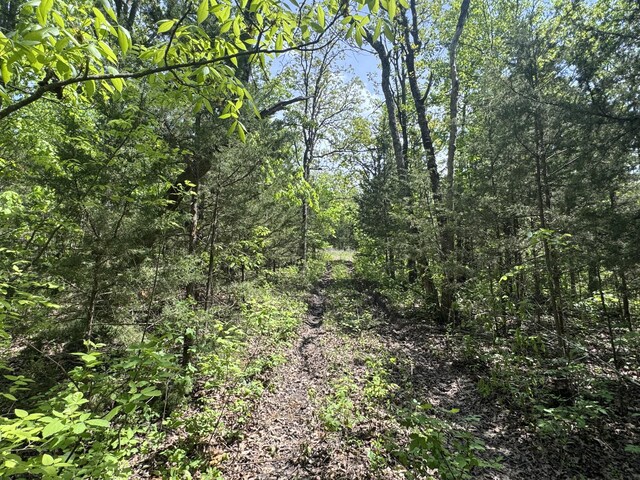 000-000 County Road-363, Urbana, MO 65767 - photo 35