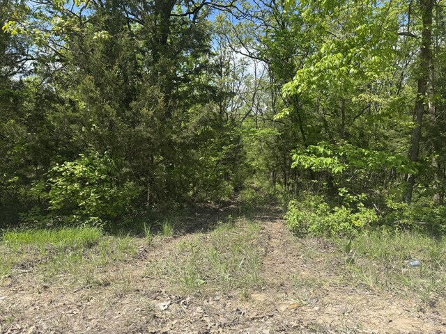 000-000 County Road-363, Urbana, MO 65767 - photo 36