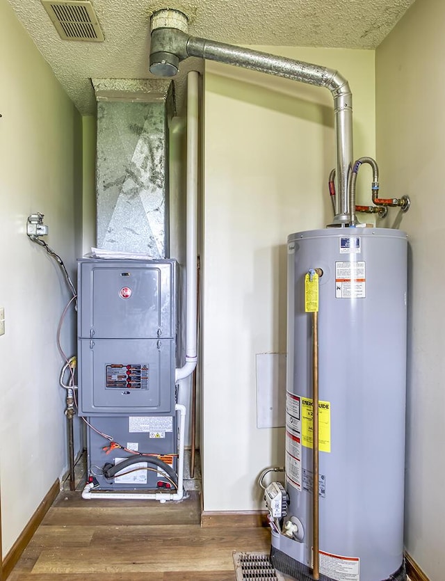 utilities featuring gas water heater and visible vents