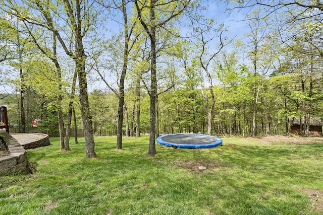 view of yard with a trampoline