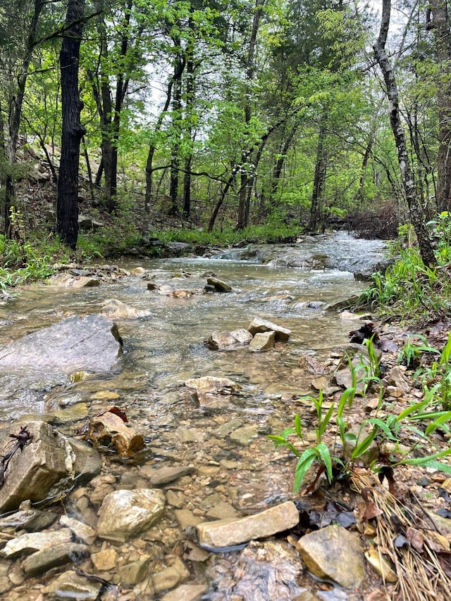 view of nature