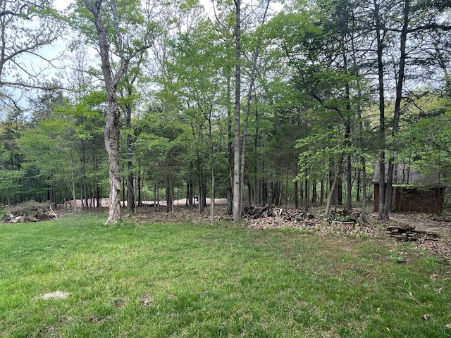 view of yard with a forest view