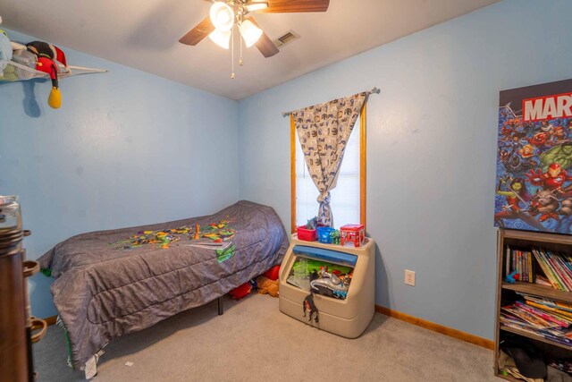 507 S Ohio St, Humansville, MO 65674 - photo 14