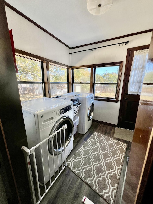 laundry room featuring washer and dryer, a wealth of natural light, wood finished floors, and laundry area