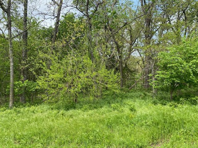 000 Lawrence Unit 2220, Verona, MO 65769