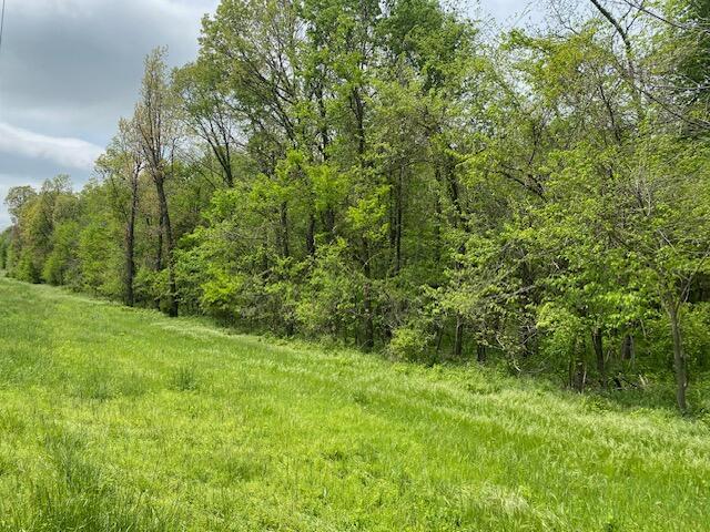 000 Lawrence Unit 2220, Verona, MO 65769