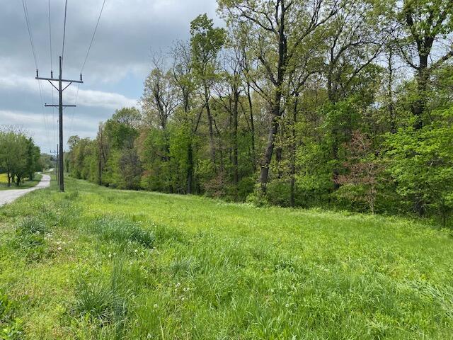 000 Lawrence Unit 2220, Verona, MO 65769