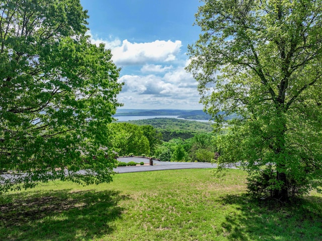 000 Eagle Ridge Ln, Branson West, MO 65737 - photo 9