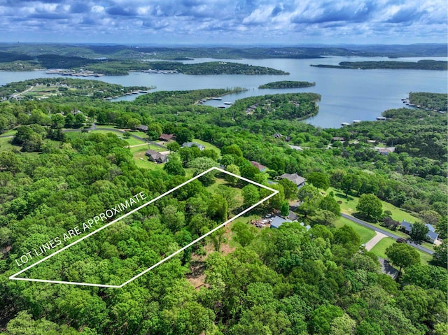 000 Eagle Ridge Ln, Branson West, MO 65737 - photo 3