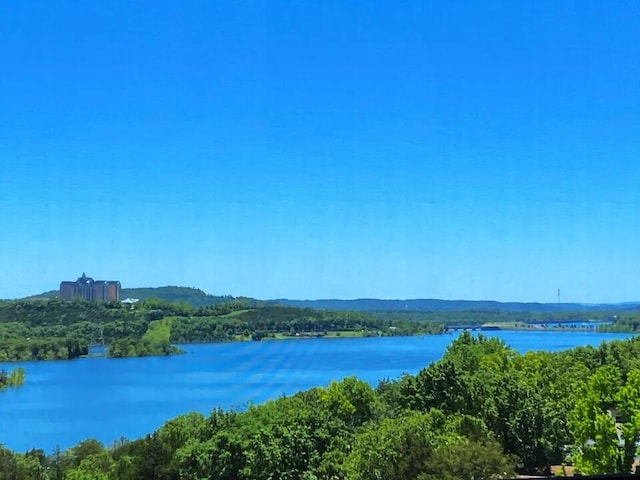 48 King Cir, Branson, MO 65616 - view of water feature
