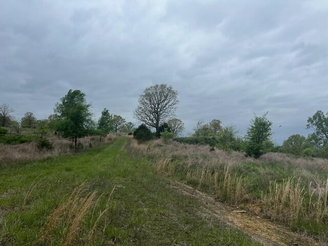 000 State Highway D, Thornfield, MO 65762