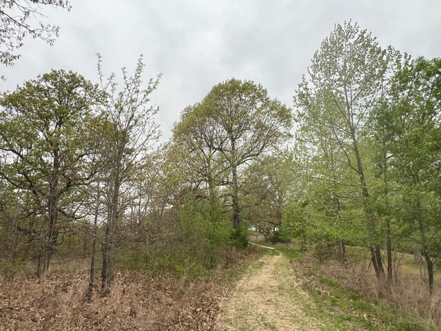000 State Highway D, Thornfield, MO 65762