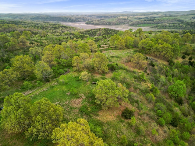 000 State Highway D, Thornfield, MO 65762
