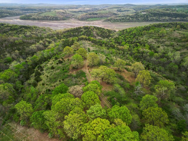 000 State Highway D, Thornfield, MO 65762