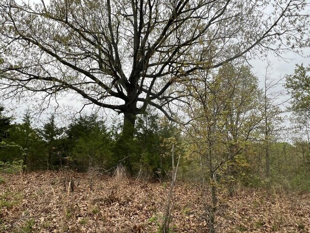 000 State Highway D, Thornfield, MO 65762