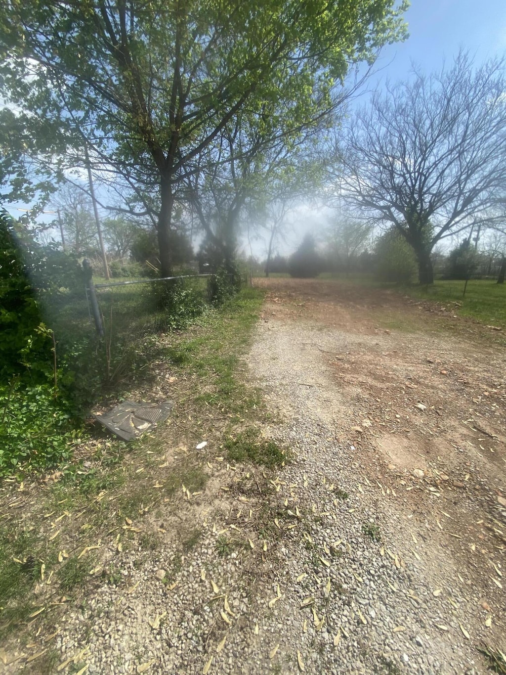 1137 E Thoman St, Springfield, MO 65803