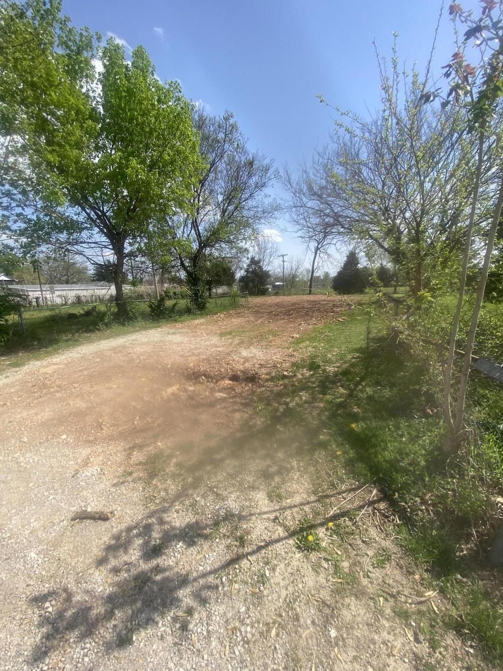 1137 E Thoman St, Springfield, MO 65803