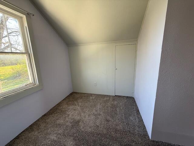 additional living space featuring vaulted ceiling and carpet