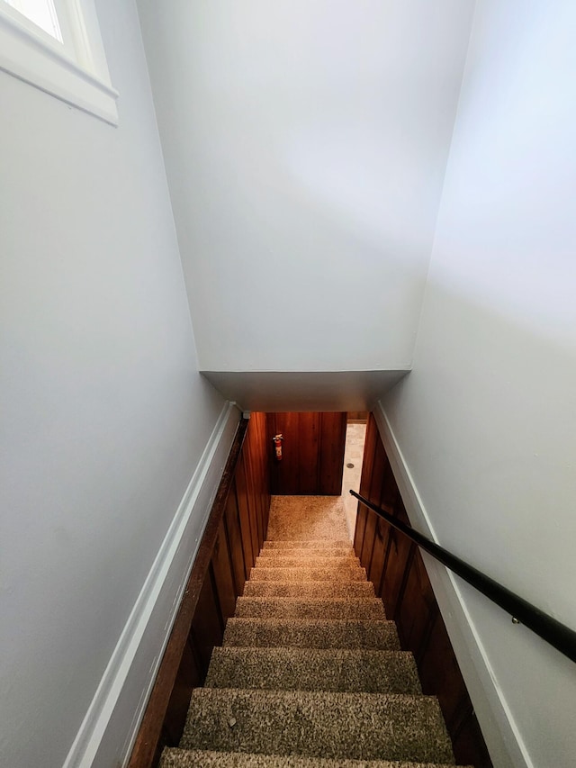 stairs featuring carpet floors