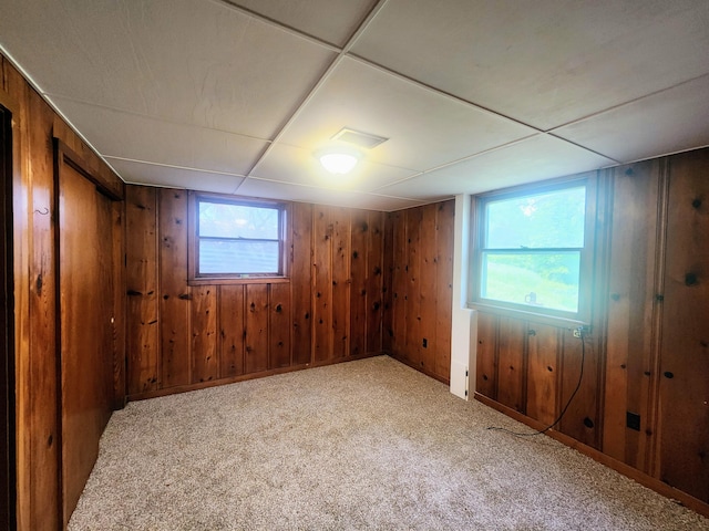 below grade area featuring wooden walls and carpet floors