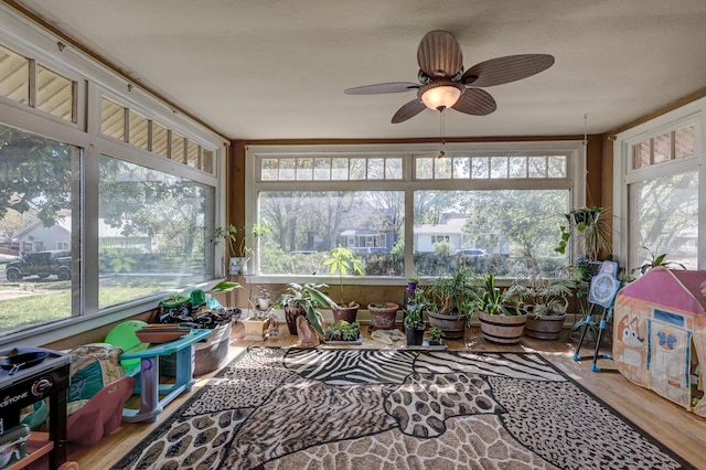 110 N Connor Ave, Joplin, MO 64801 - sunroom featuring wood finished floors