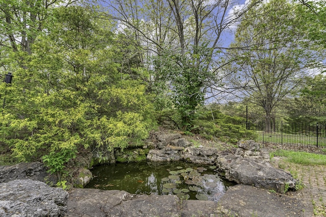 view of local wilderness