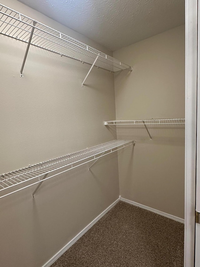 spacious closet with carpet floors