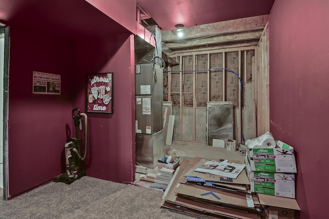 miscellaneous room with carpet floors
