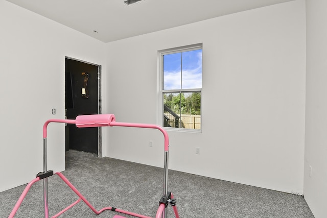 rec room featuring carpet