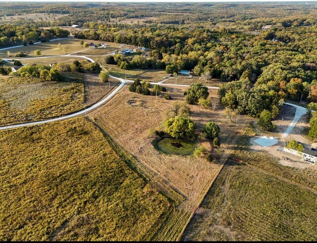 LOT14 Canyon Dr, Wheatland, MO 65779 - photo 6