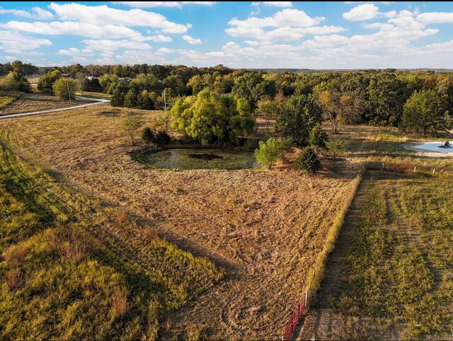 LOT14 Canyon Dr, Wheatland, MO 65779 - photo 5