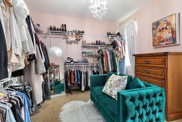 walk in closet featuring an inviting chandelier and carpet