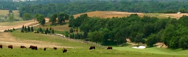 birds eye view of property featuring a wooded view and a rural view