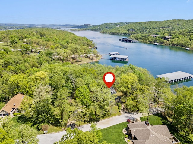 birds eye view of property with a wooded view and a water view