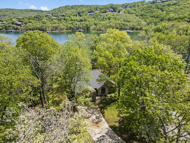 bird's eye view featuring a water view and a view of trees
