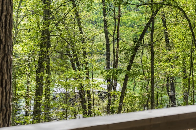 view of nature featuring a wooded view