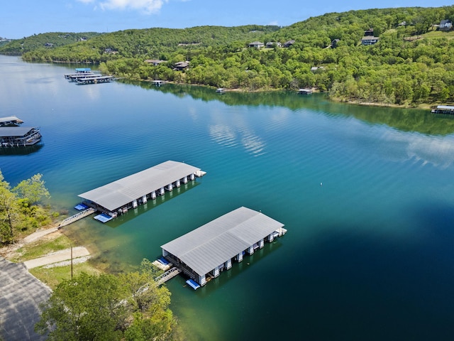 bird's eye view with a water view and a view of trees