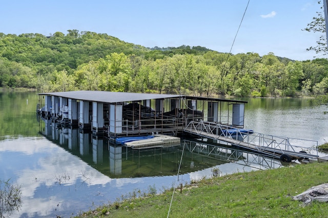 dock area featuring a water view and a view of trees