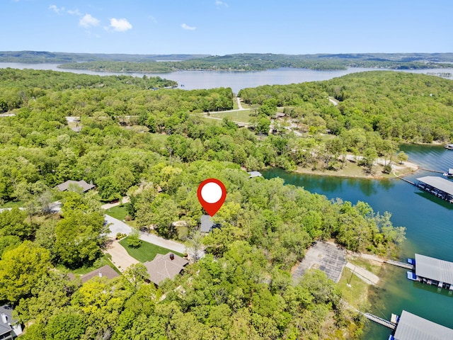 birds eye view of property featuring a water view and a view of trees