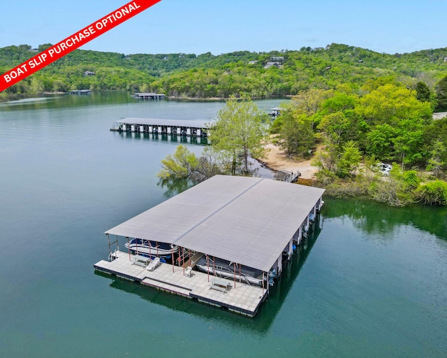 dock area featuring a water view and a forest view