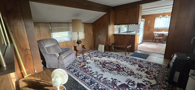 22684 Forest Ln, Hermitage, MO 65668 - living area featuring wood walls and healthy amount of natural light