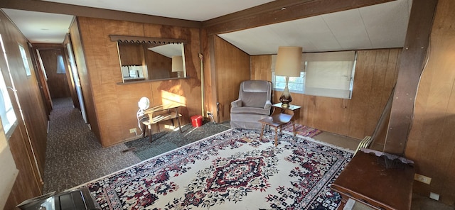 22684 Forest Ln, Hermitage, MO 65668 - sitting room with wood walls