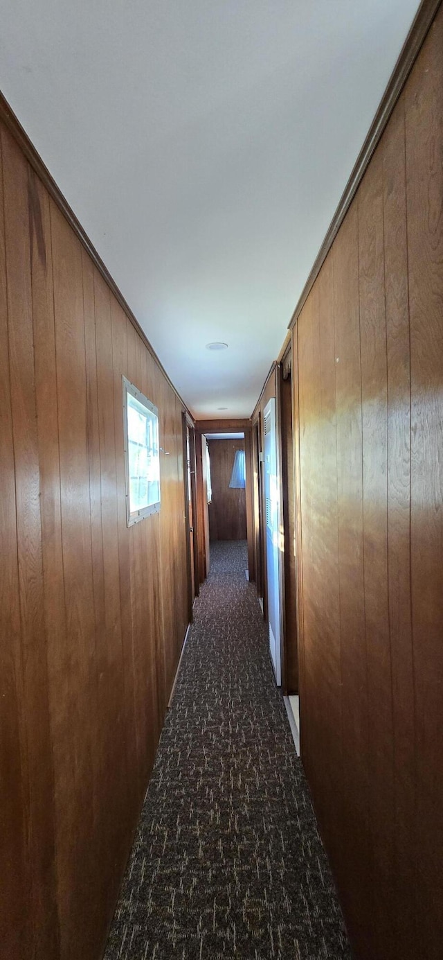 22684 Forest Ln, Hermitage, MO 65668 - hall with wooden walls