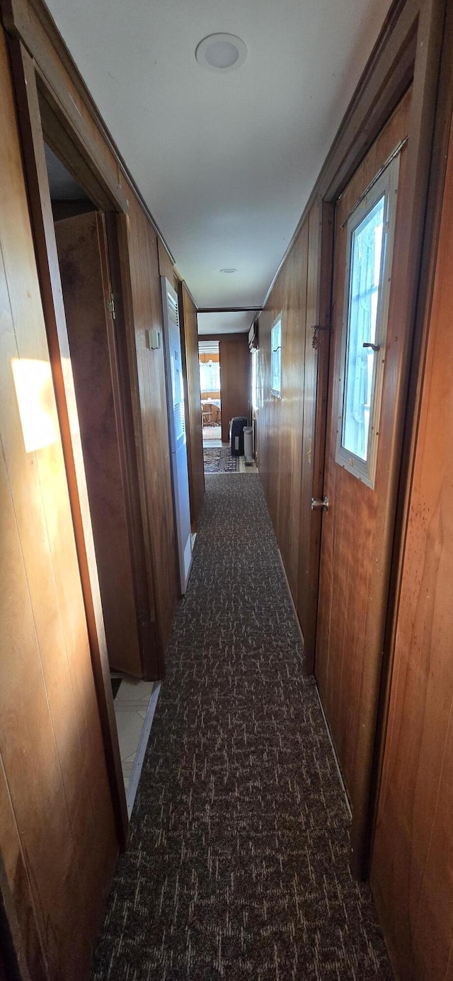 22684 Forest Ln, Hermitage, MO 65668 - corridor featuring wooden walls and carpet flooring