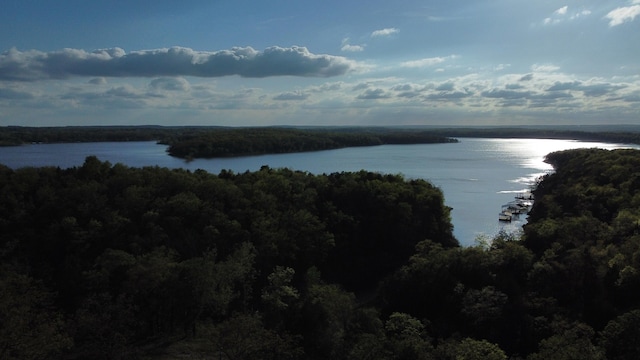 22684 Forest Ln, Hermitage, MO 65668 - water view featuring a heavily wooded area