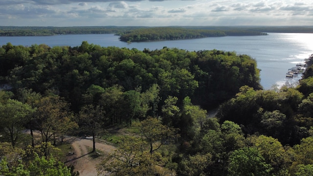 22684 Forest Ln, Hermitage, MO 65668 - view of property location featuring a nearby body of water and a forest