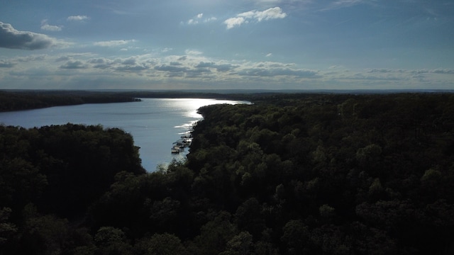 22684 Forest Ln, Hermitage, MO 65668 - water view with a forest