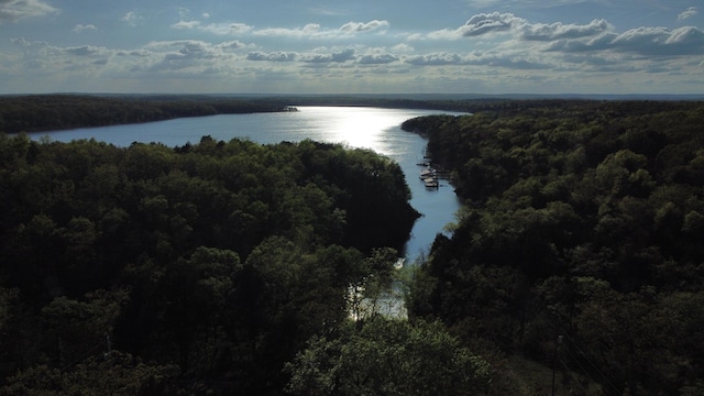 25965 Willow Rd, Hermitage, MO 65668 - aerial view of a large body of water and a heavily wooded area