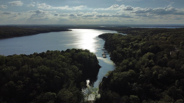 25965 Willow Rd, Hermitage, MO 65668 - aerial view of a nearby body of water and a heavily wooded area